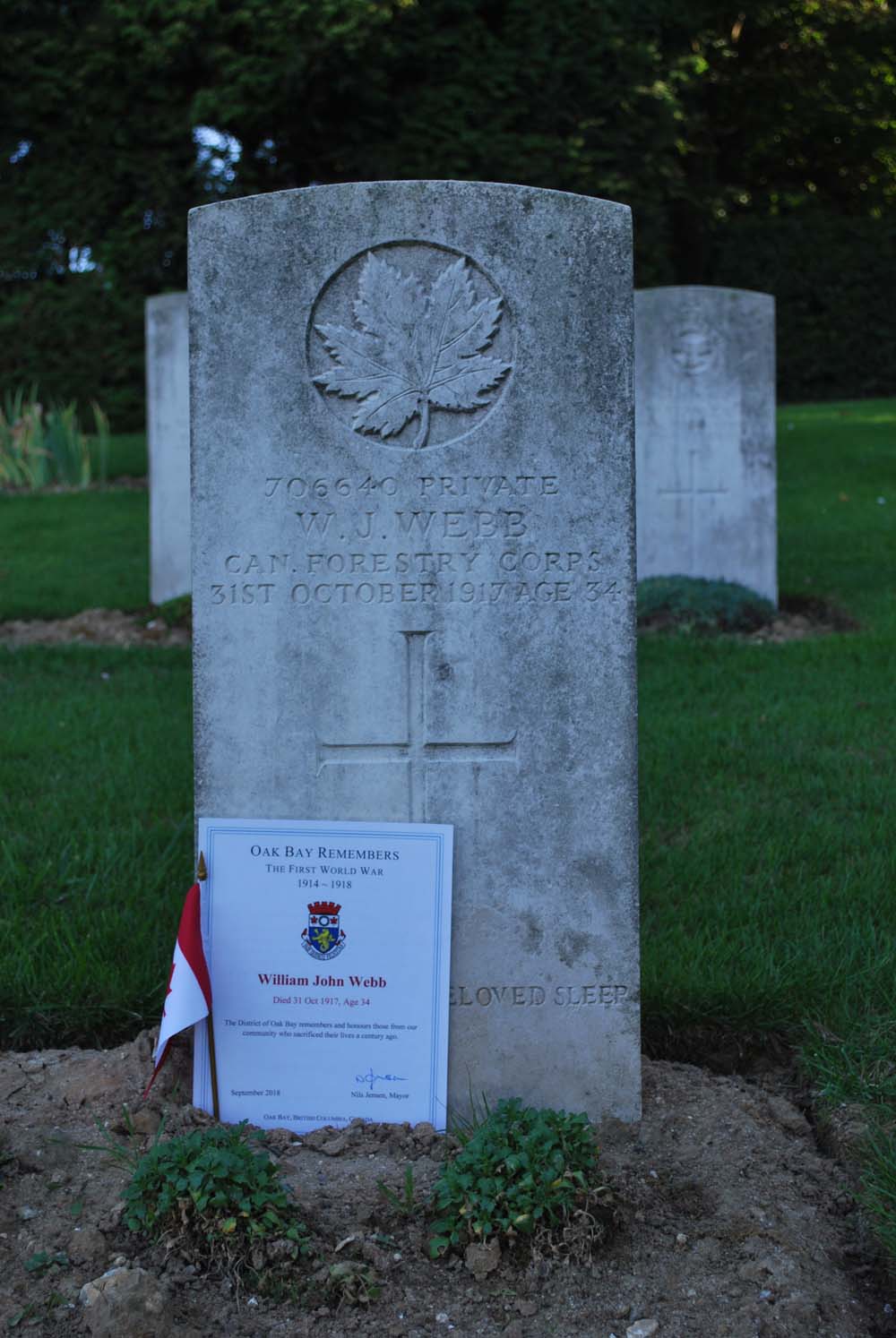 Memorial to Private William John Webb, Aveluy Communal Cemetery Extension, France (Photo: C. Duncan, 2018)