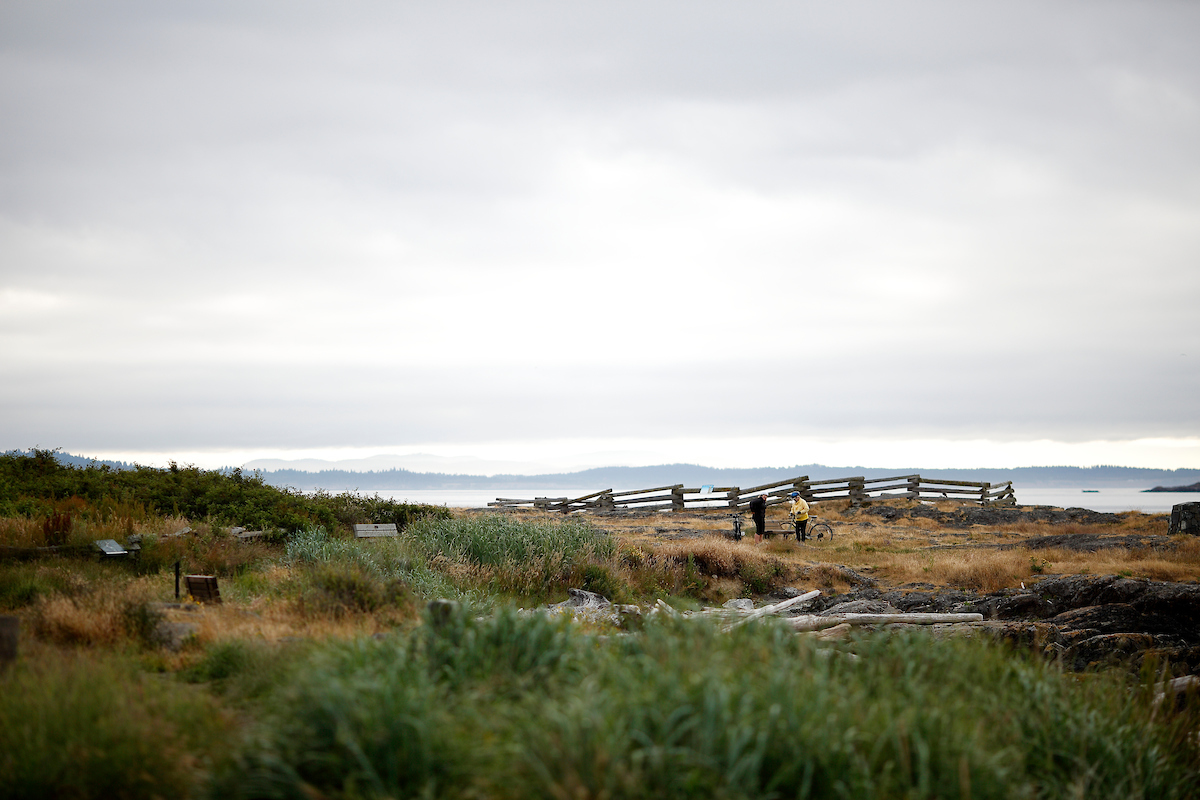 Cattle Point Oak Bay Art July 9 2022 ©KevinLightPhoto _EV44071