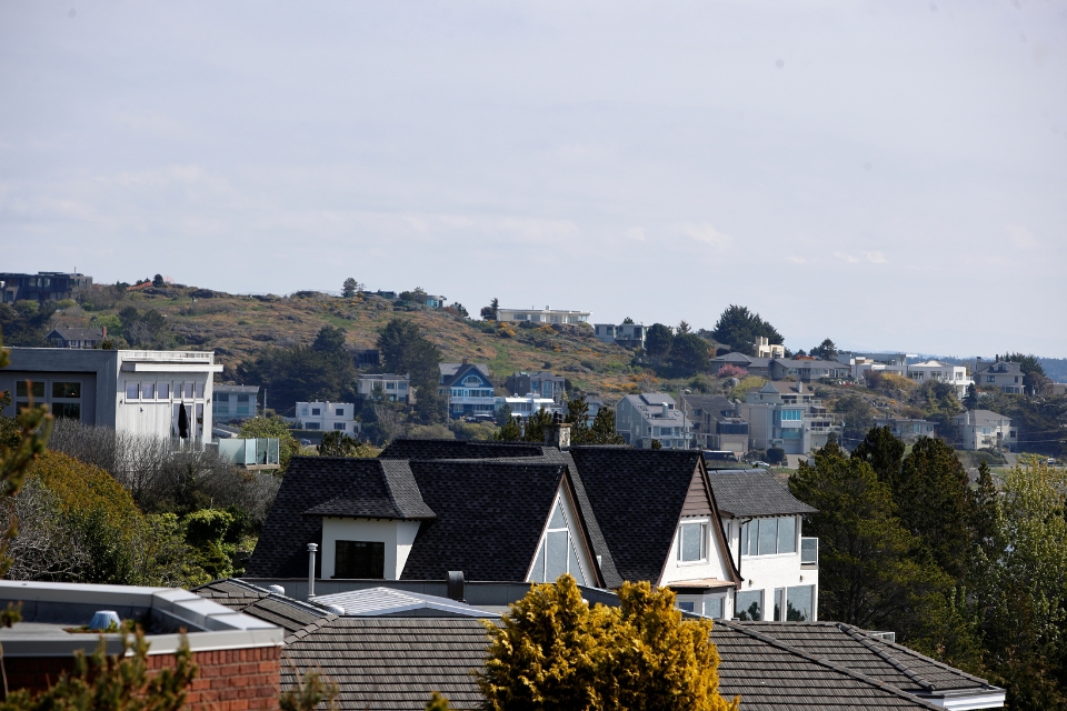 A landscape photo of houses across a gentle hill in Oak Bay, with trees lined between houses and light clouds on a sunny day.