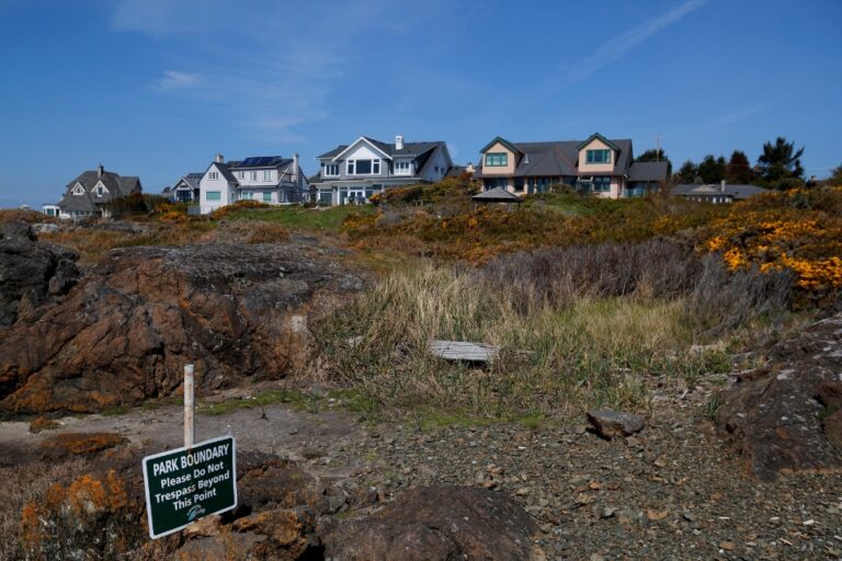 In the foreground is a park area with rock, brush and tall grass and in the background are three houses with blue sky and sun.