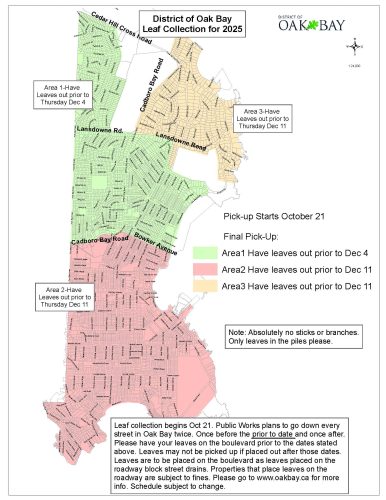 Leaf-Collection-2025