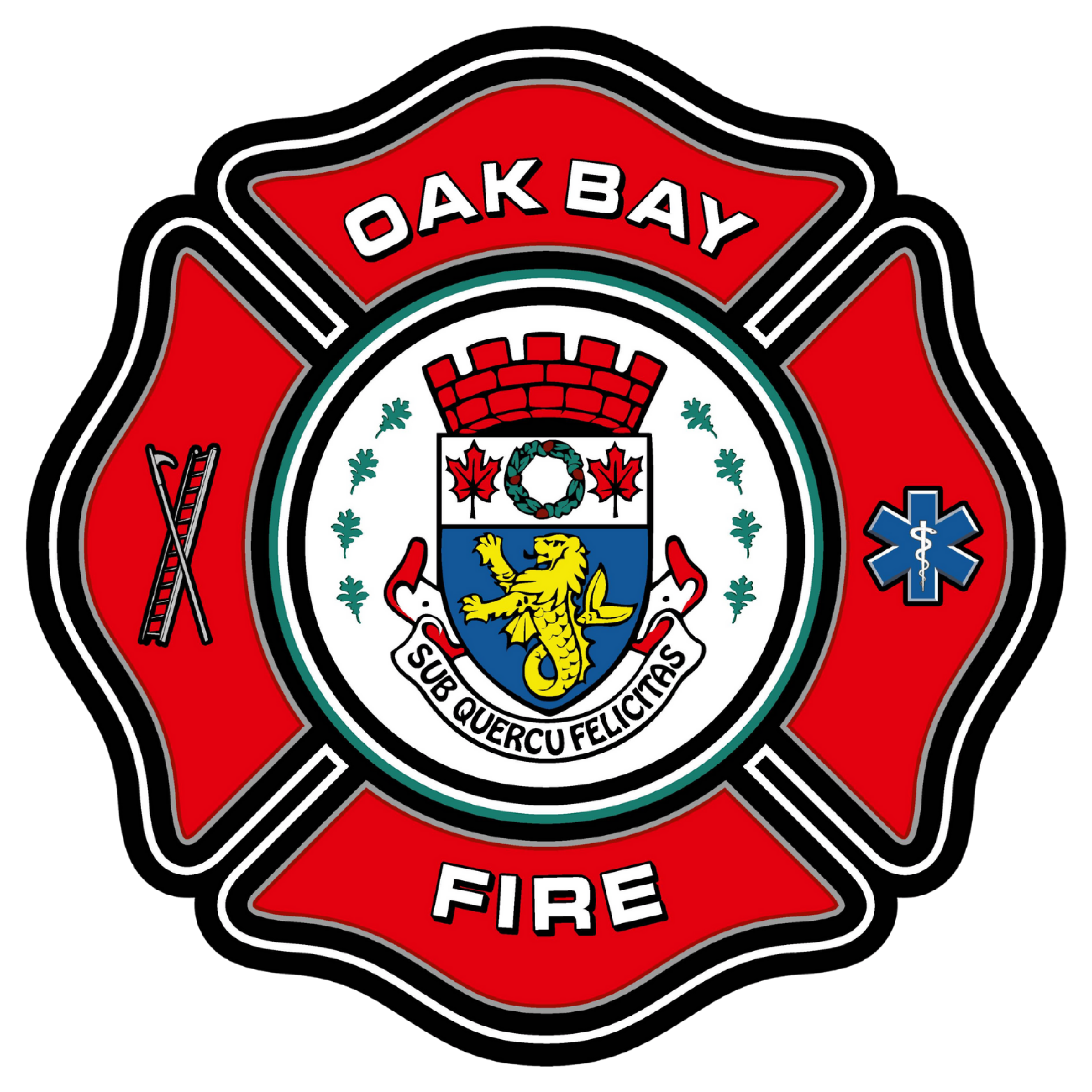 OB-Fire-Final-Transparent