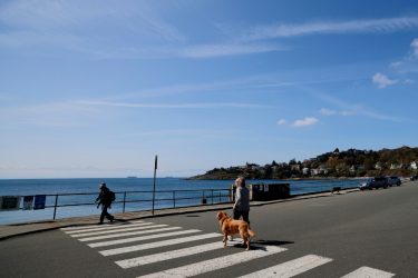 Pedestrian-IMG